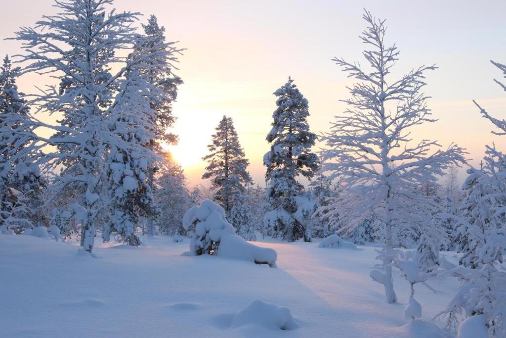 Kielo In Center Near All The Main Spots Rovaniemi Buitenkant foto