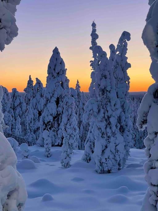 Kielo In Center Near All The Main Spots Rovaniemi Buitenkant foto